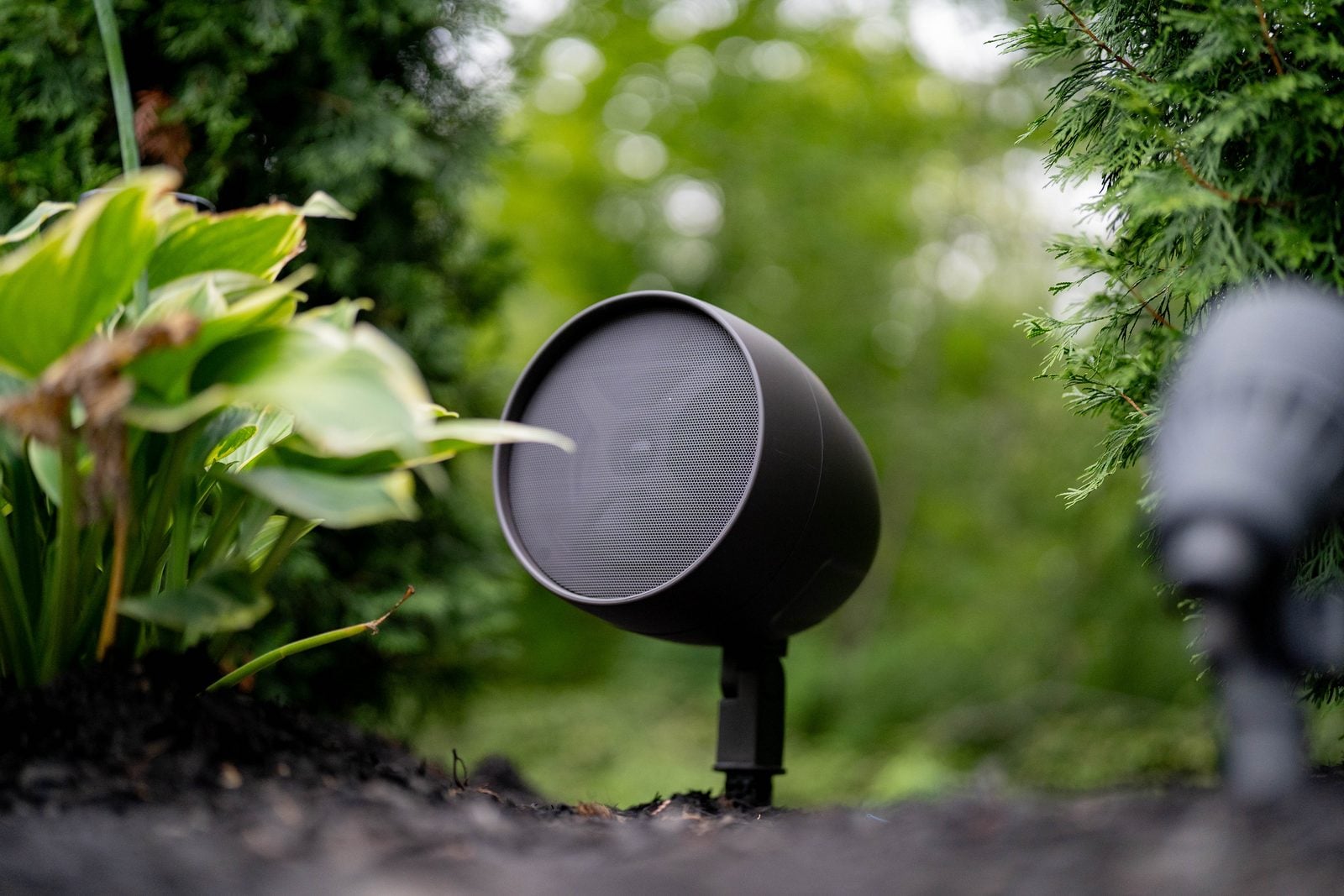 An outdoor speaker sited in a planting bed, aimed across the garden