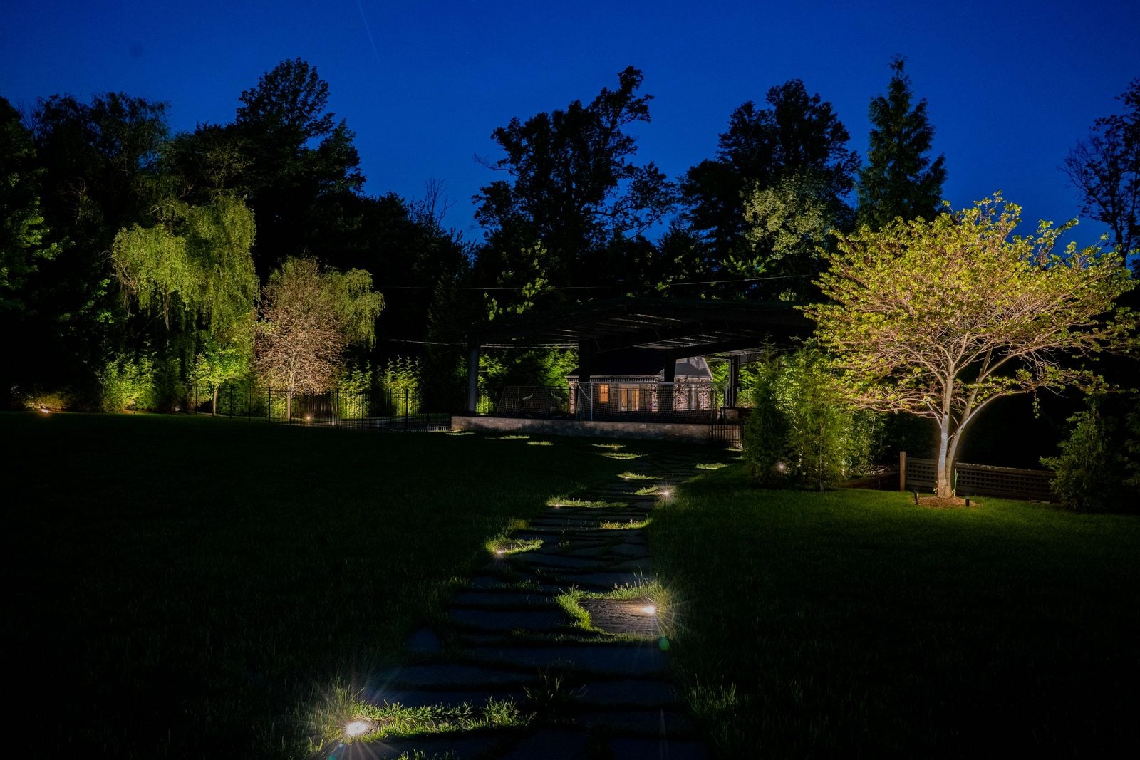 Specimen trees uplit through their canopies above a lit walk