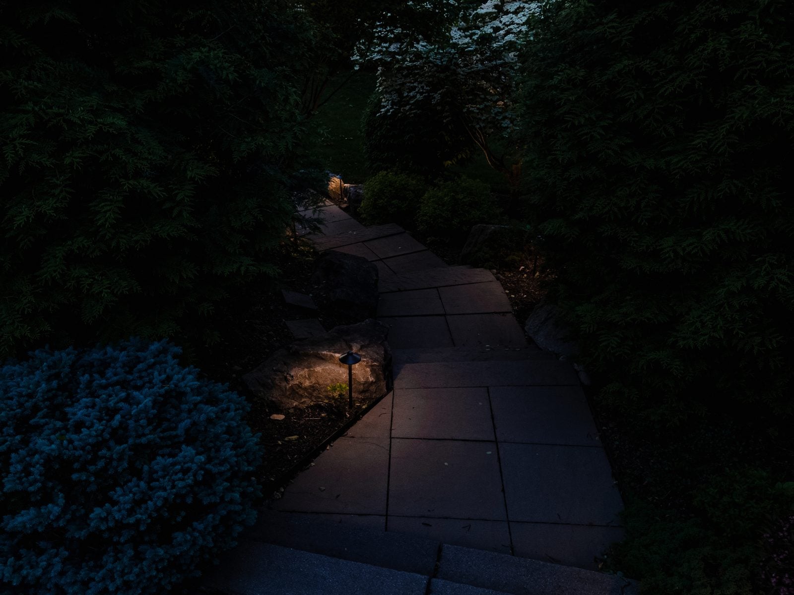 Landscape lighting install by Unique Outdoor Lighting