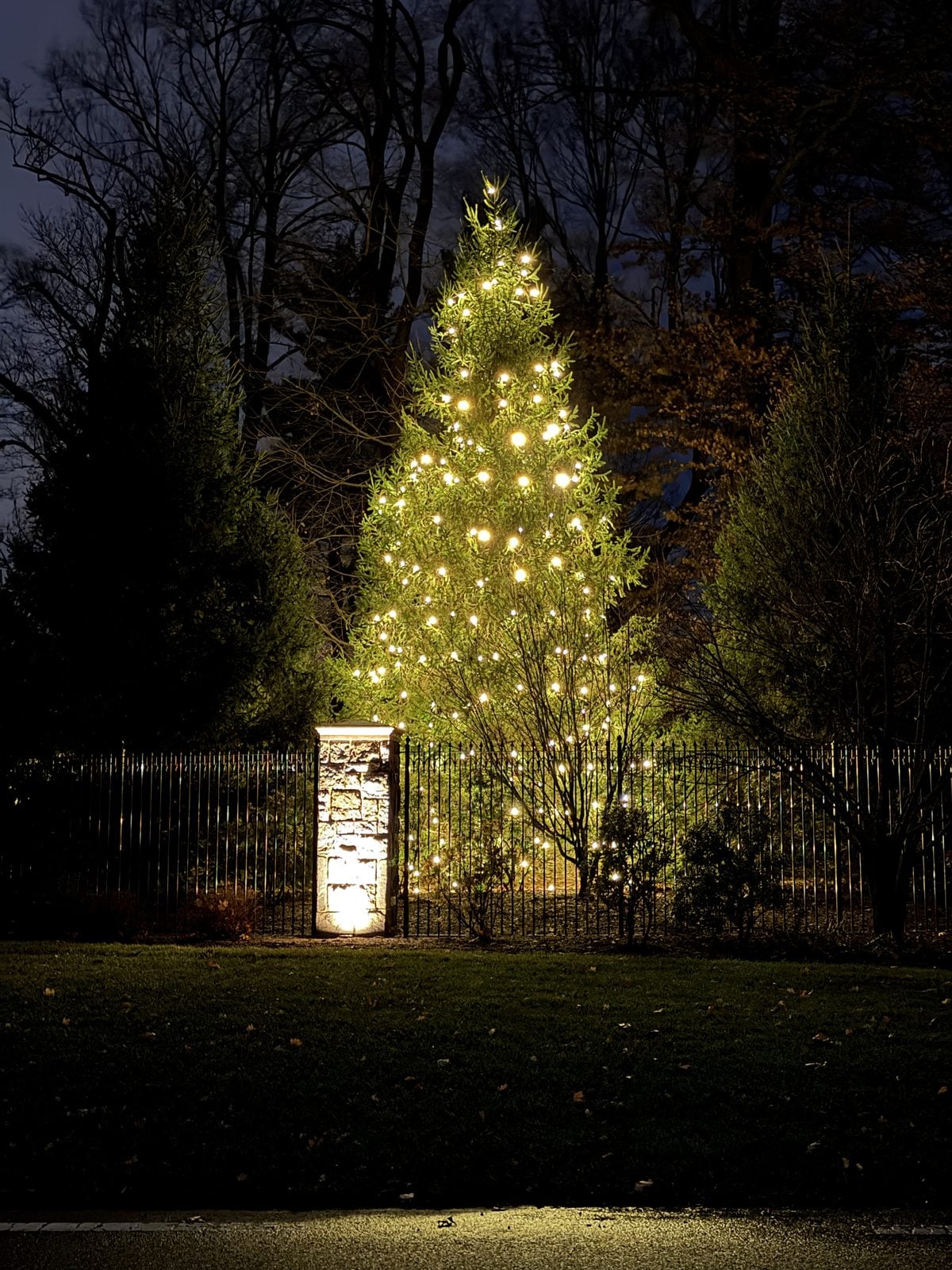 A tall Christmas tree lit beside a stone gate pier