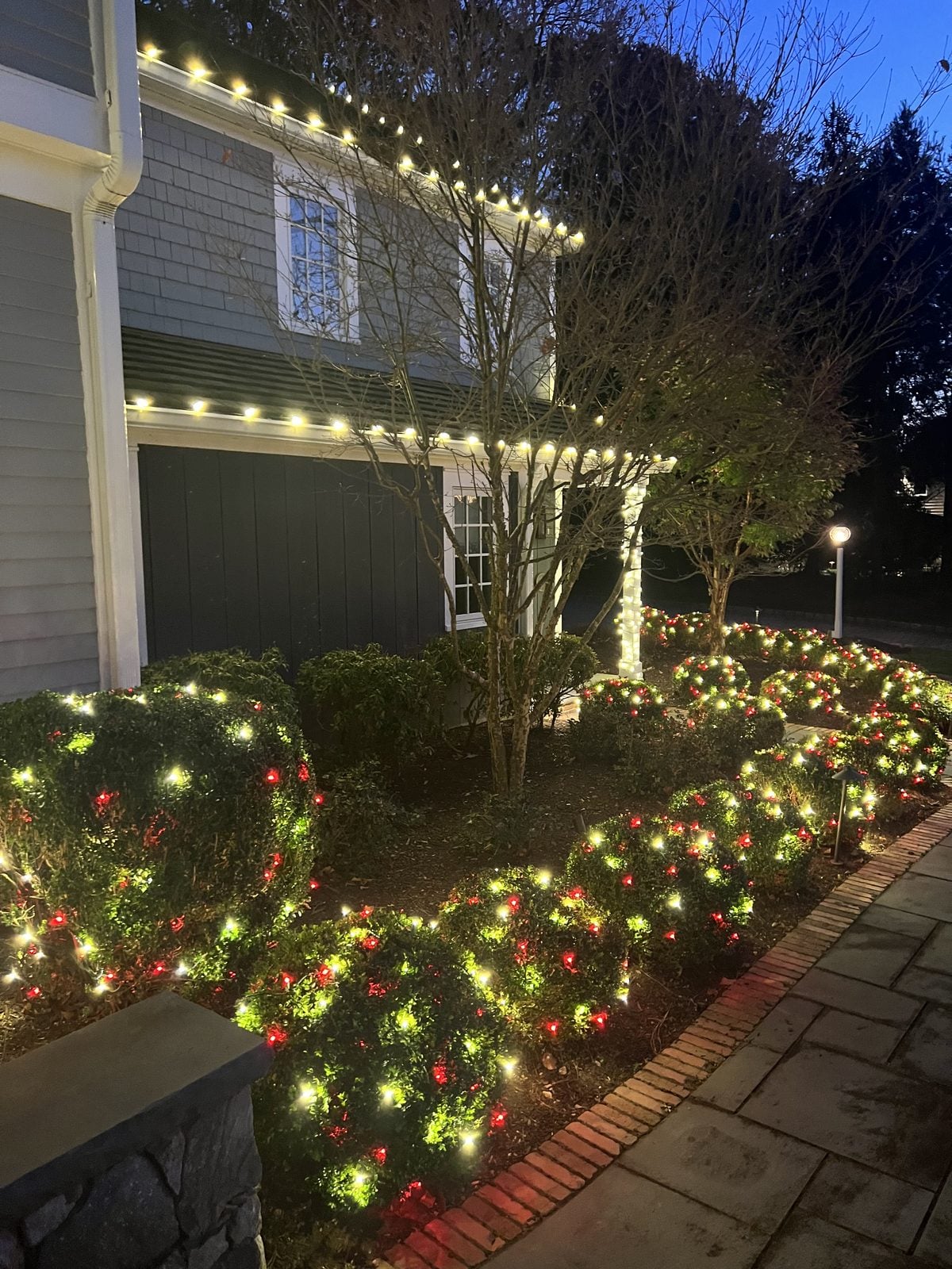 A roofline in warm bulbs above shrubs netted with red lights