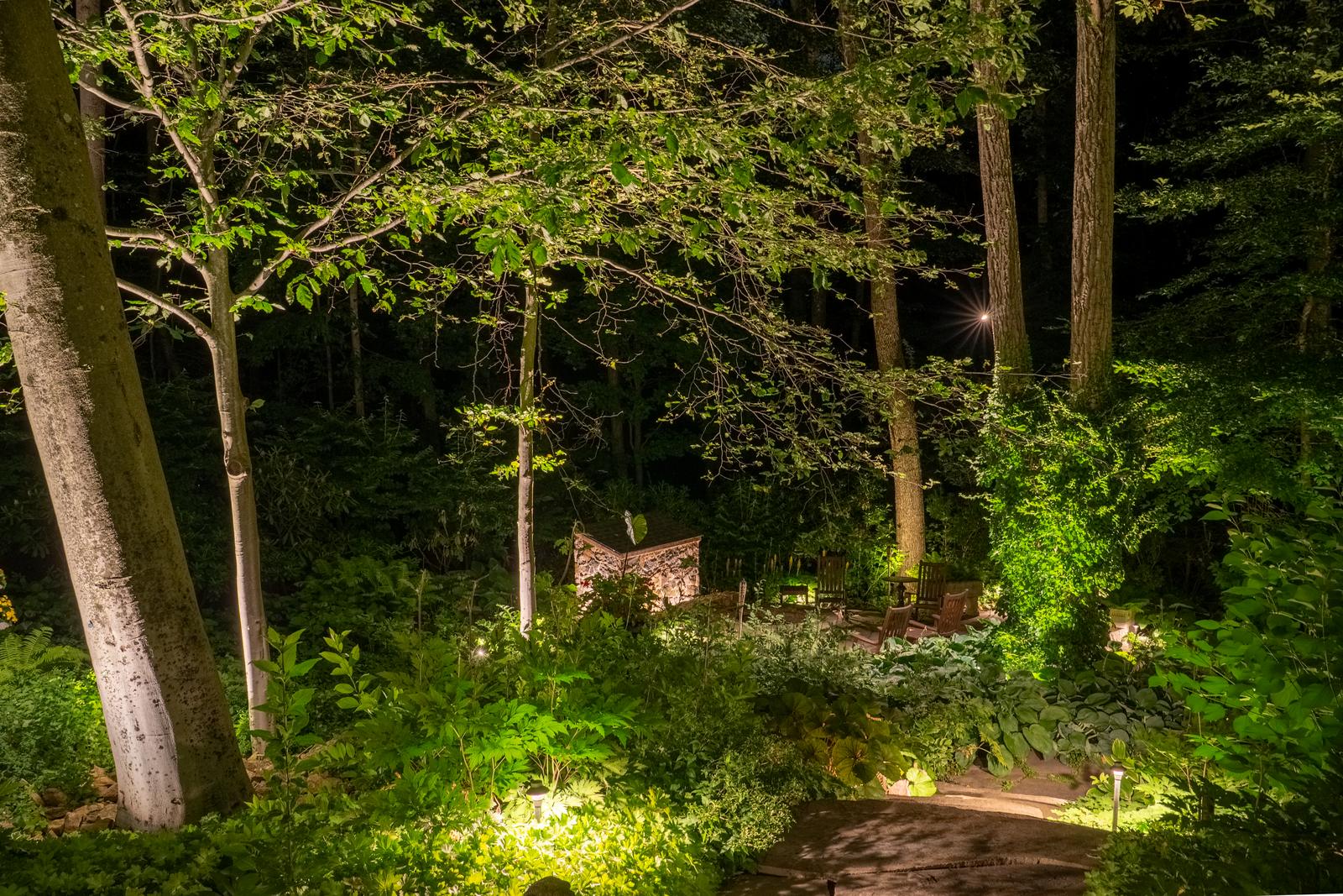 Trees and shrubs uplit across a lawn after dark