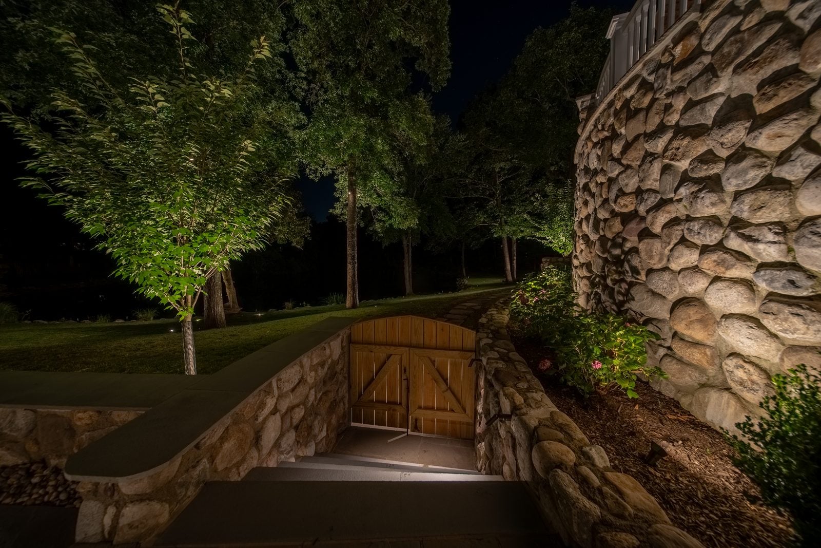 A garden path lit past dense planting at night