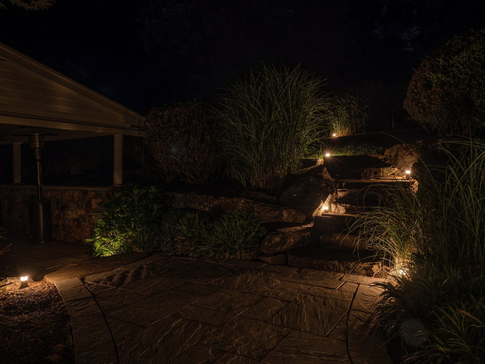 Trees and shrubs uplit across a lawn after dark