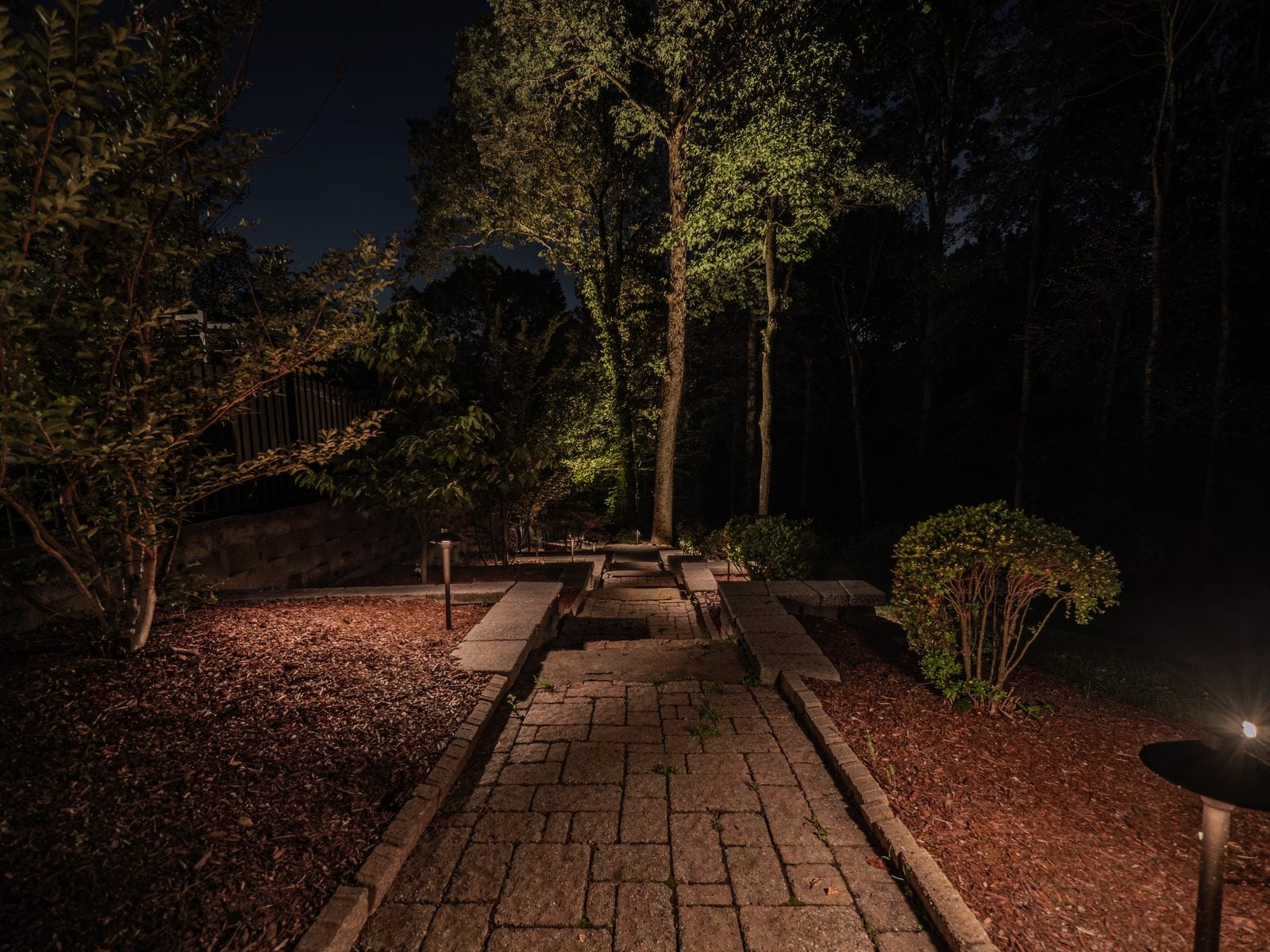 Specimen trees uplit through their canopies above a lit walk