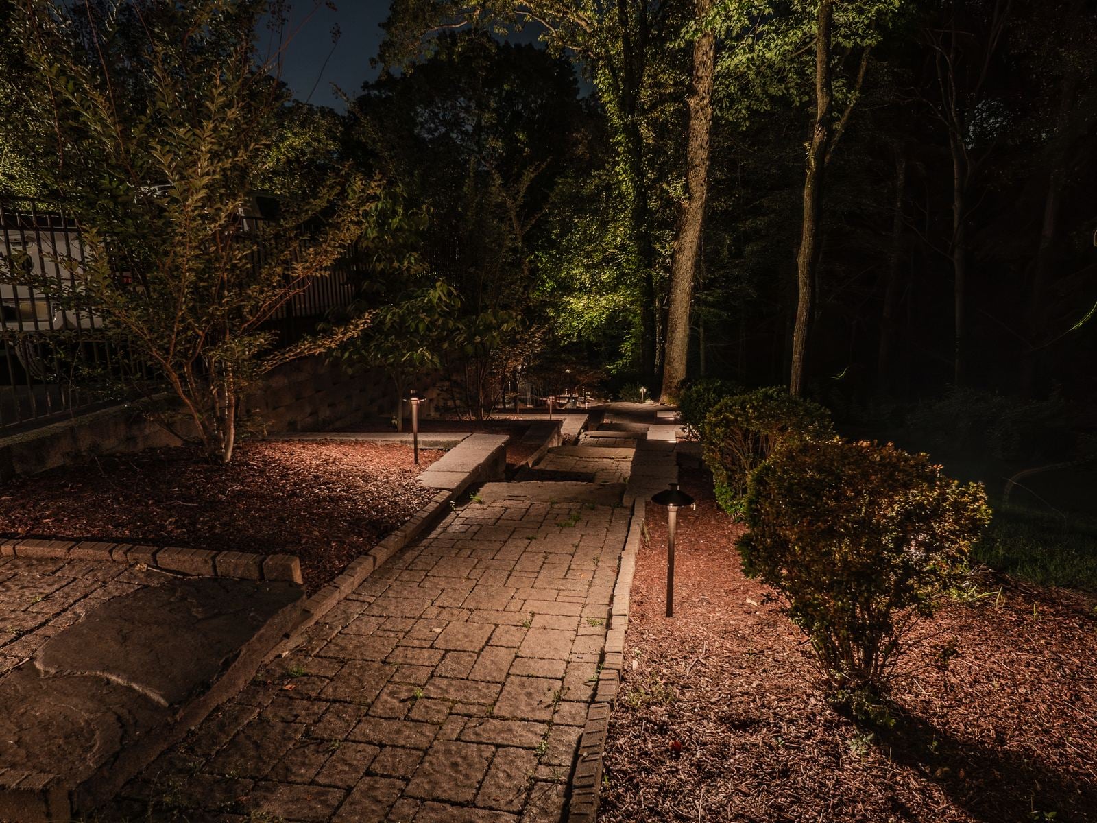 A lit garden route at blue hour, planting layered in warm light