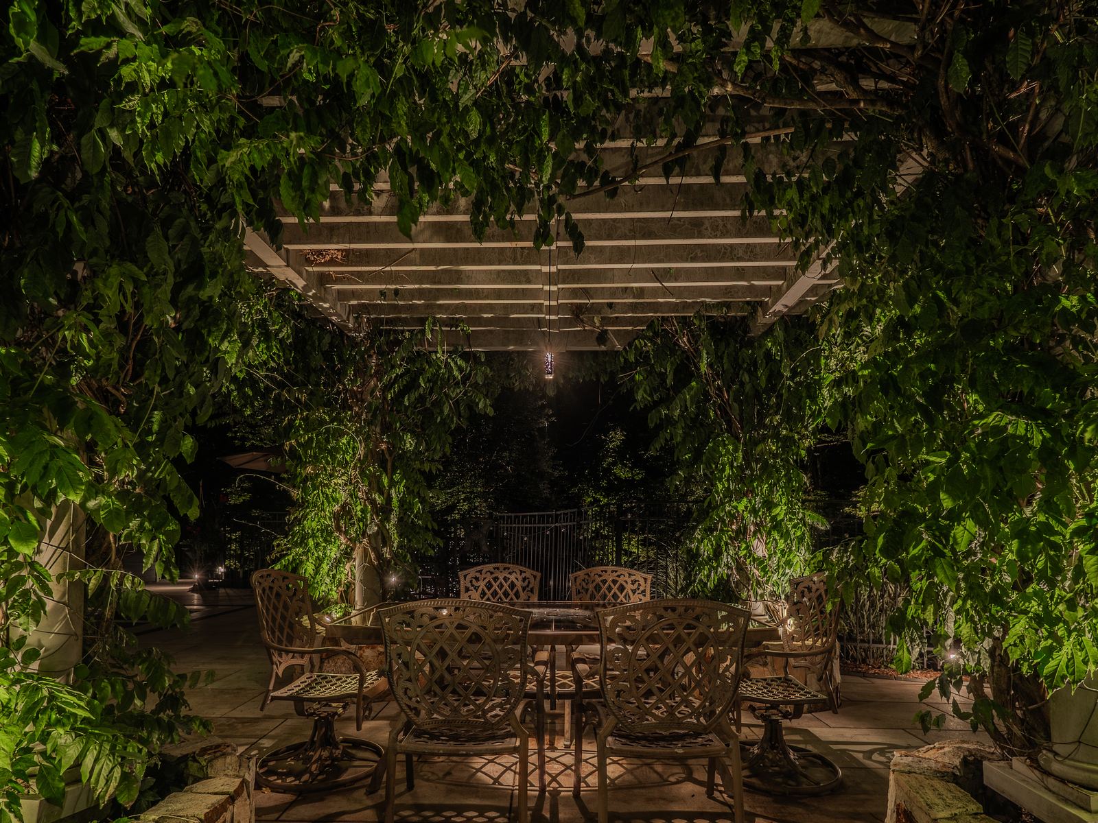 Trees and shrubs uplit across a lawn after dark