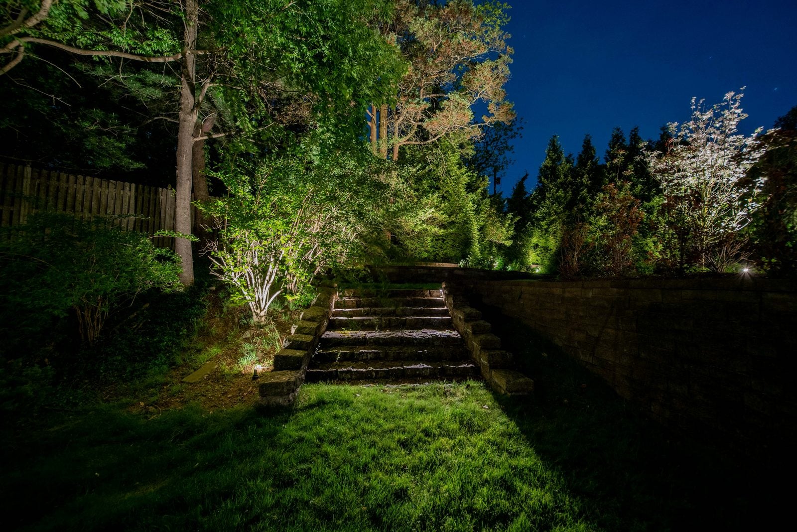 Planting beds and a walk lit after dark, path fixtures washing the foliage