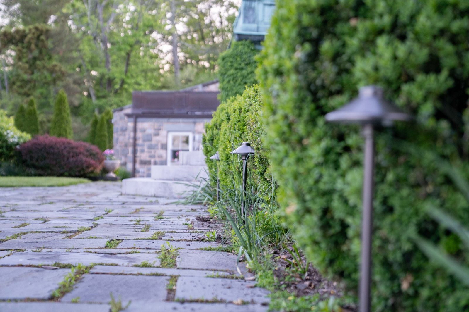 Trees and shrubs uplit across a lawn after dark