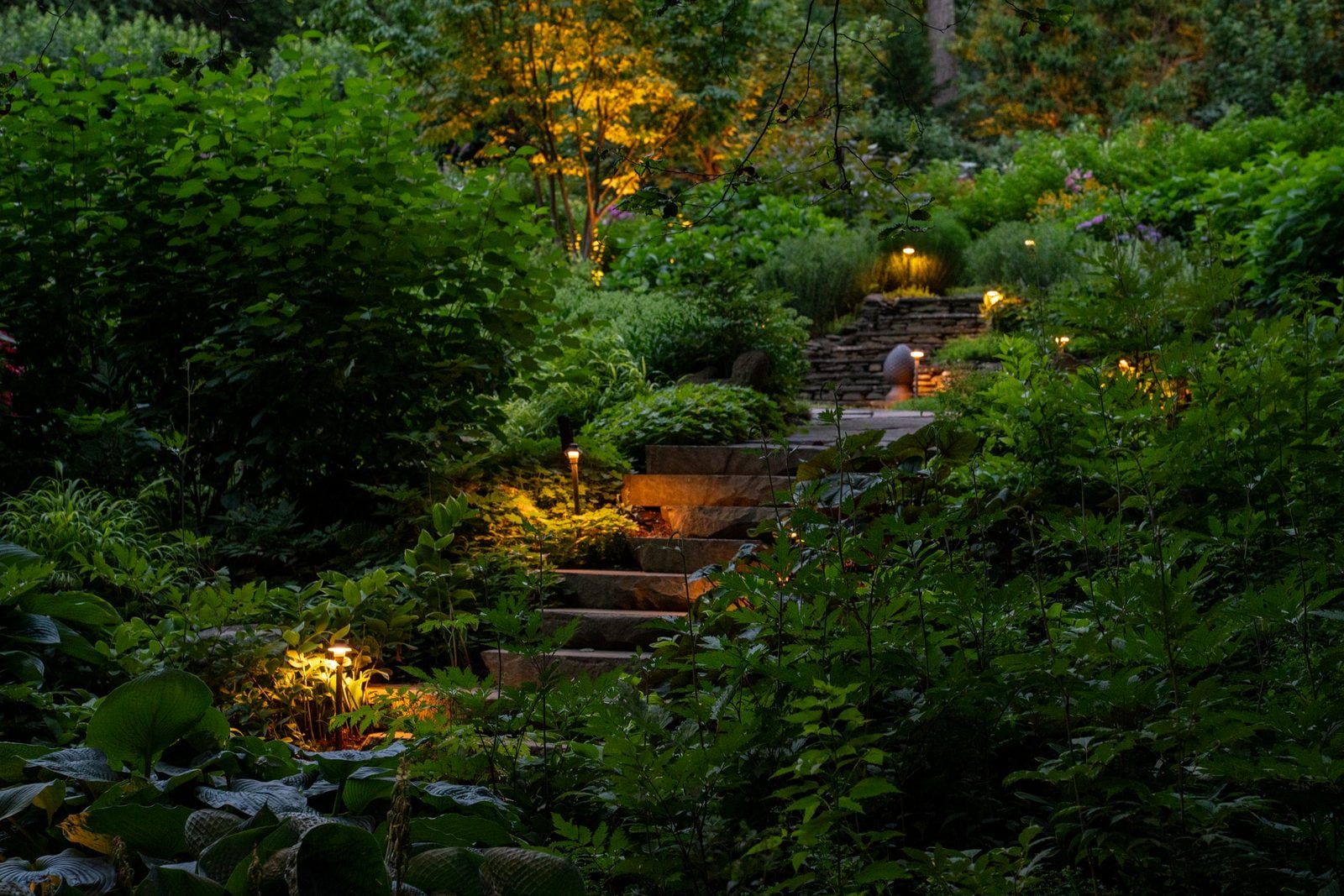 A garden path lit past dense planting at night