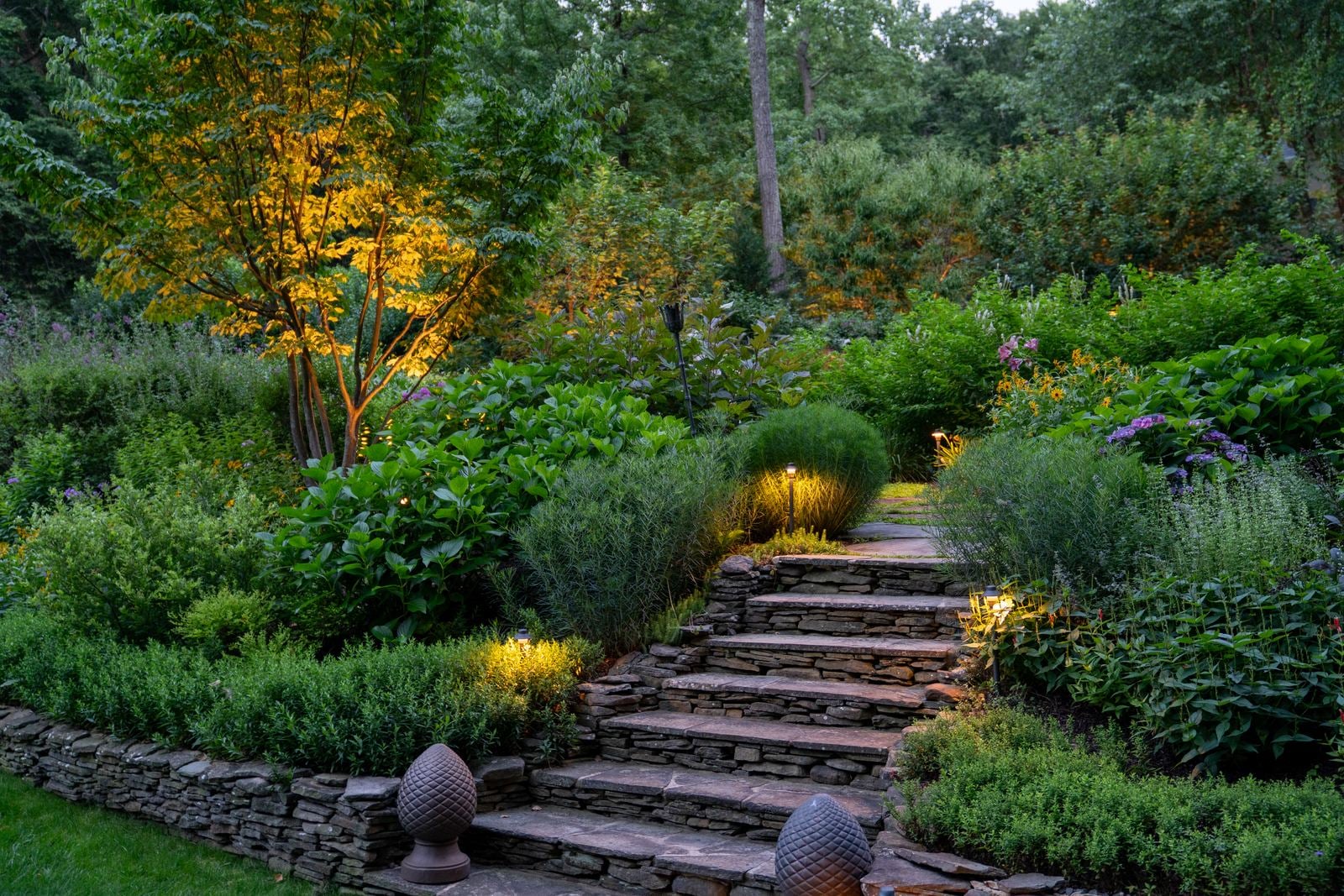 Planting beds and a walk lit after dark, path fixtures washing the foliage