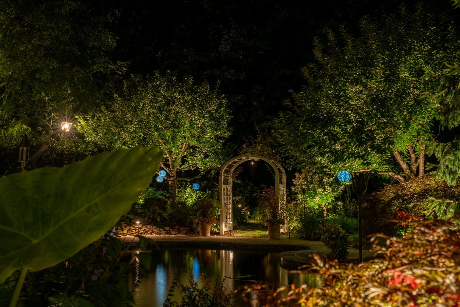A garden pond lit at night, light doubled in the reflection
