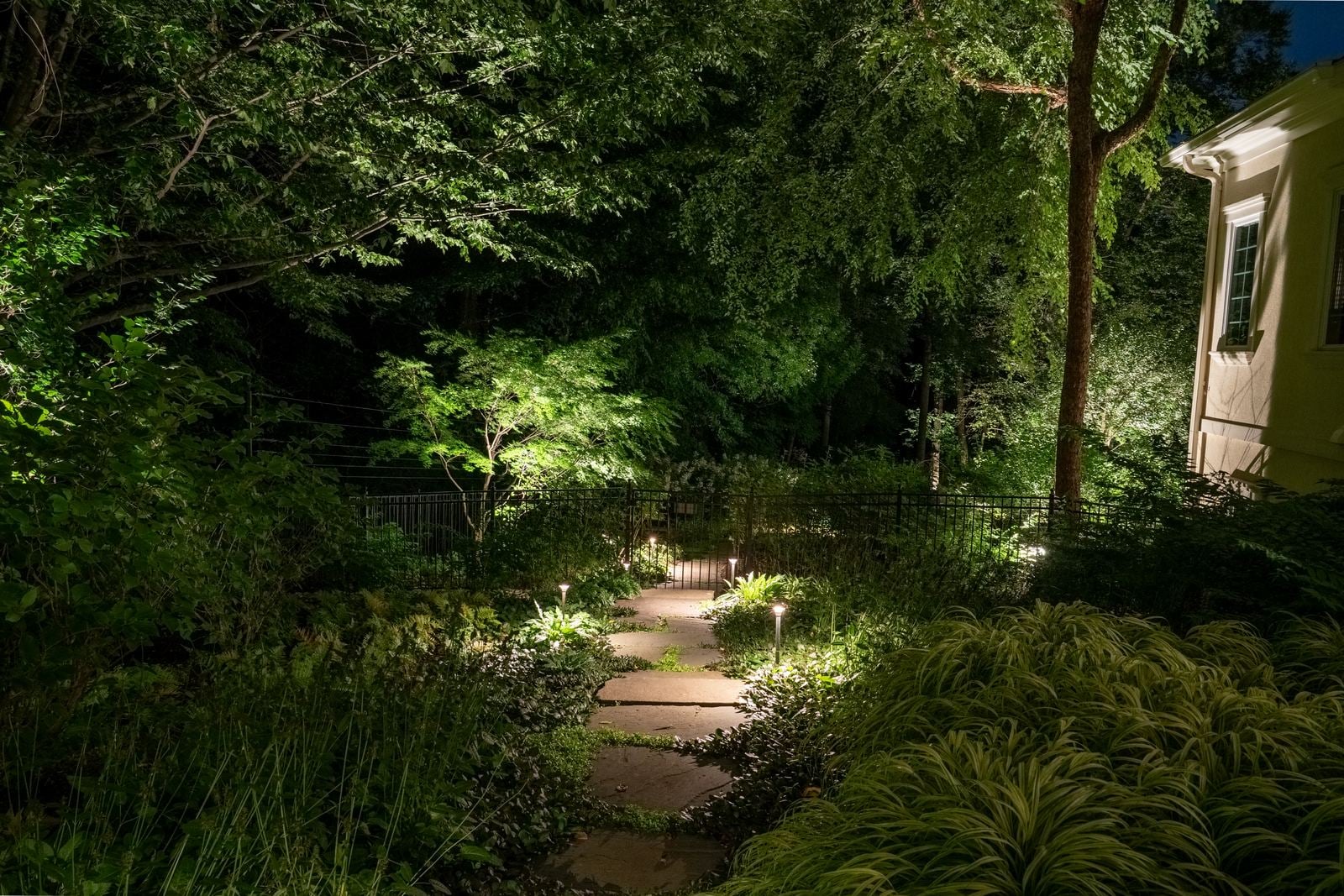 Trees and shrubs uplit across a lawn after dark