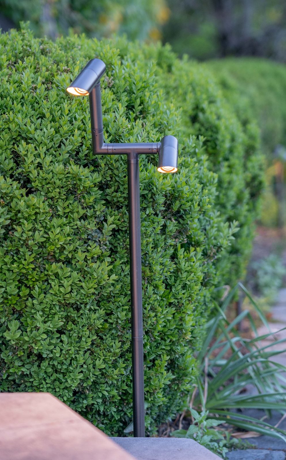 A directional fixture set into planting, shown as installed